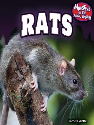 cover image of Rats
